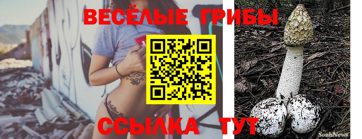 Карталы  Псилоцибиновые грибы MAGIC MUSHROOMS  сколько стоит  Вход с VPN 